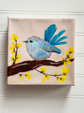 Load image into Gallery viewer, Splendid Fairywren-female