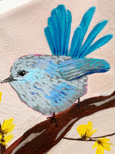 Load image into Gallery viewer, Splendid Fairywren-female