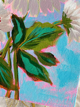 Load image into Gallery viewer, Gerbera Daisies