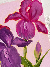 Load image into Gallery viewer, Mixed Irises