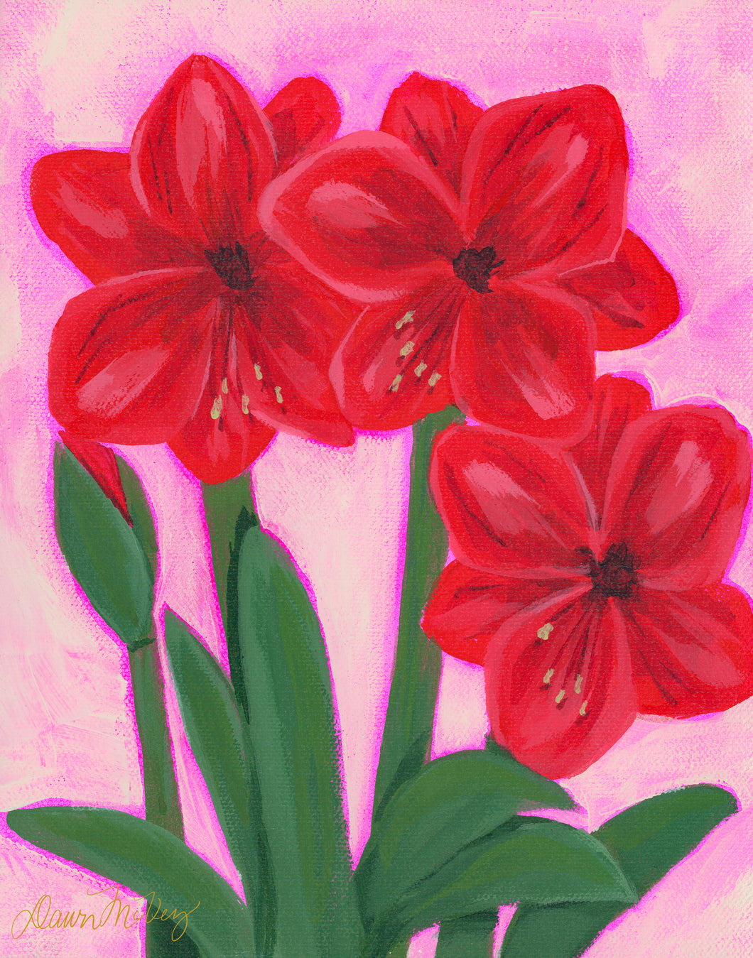 Amaryllis Print