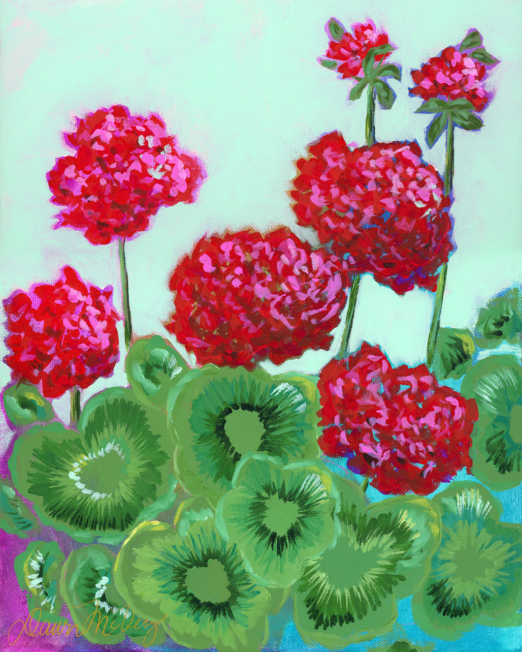 Geraniums
