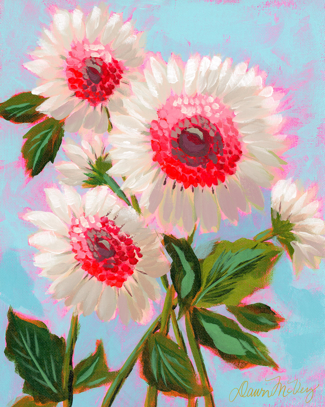 Gerbera Daisies