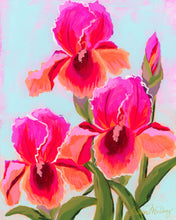 Load image into Gallery viewer, Iris Sunrise
