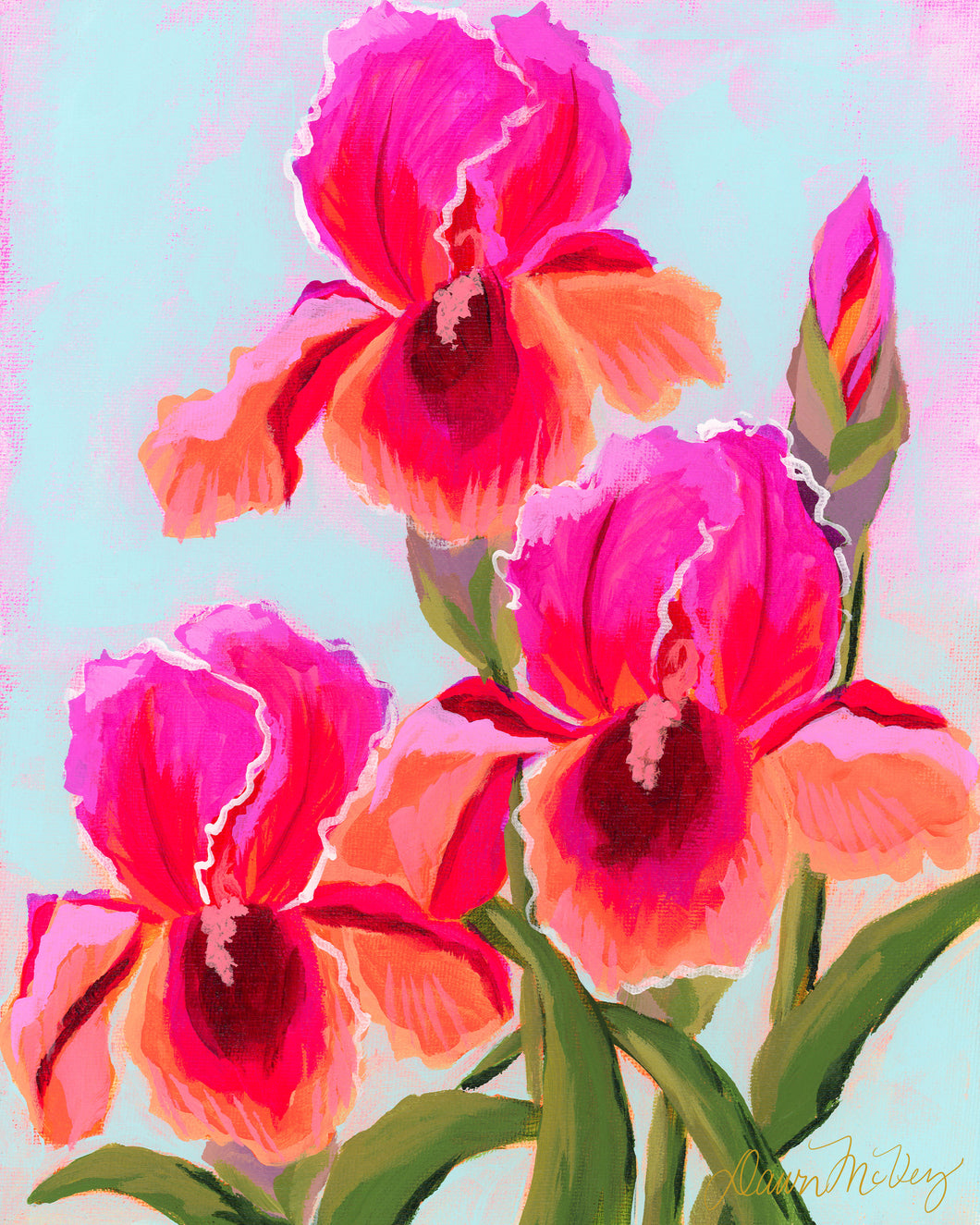 Iris Sunrise