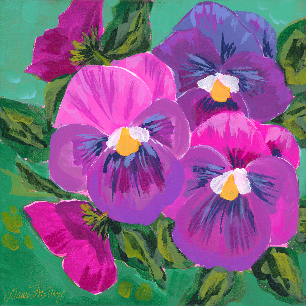 Pansy 1