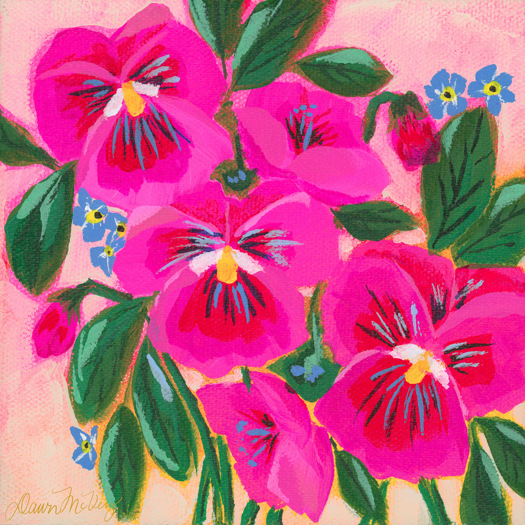 Pansy 3